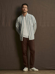 Cotton Casual Brown Pant